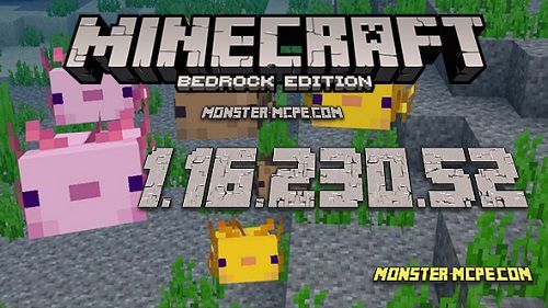 Download Minecraft 1.16.100 Nether Update apk free: Full Version