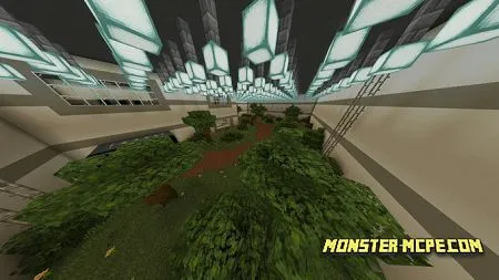 SCP-250