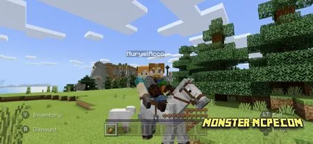 2 Person Horse Riding (3)