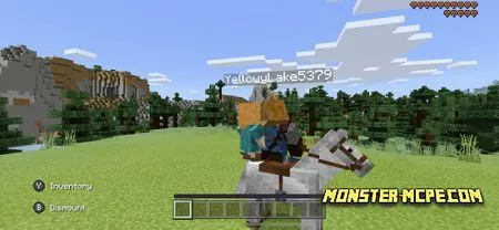 2 Person Horse Riding (2)