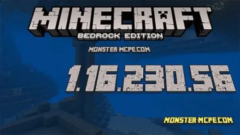 Minecraft PE 1.16.230.56 for Android