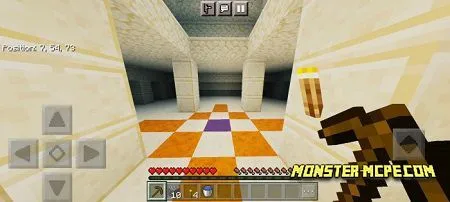 Temple Speedrunning Practice (4)