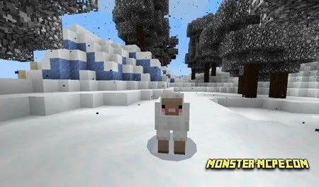 Snow Sheep