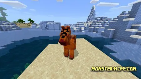 Horses