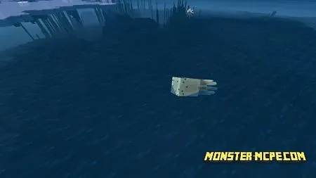 Squids