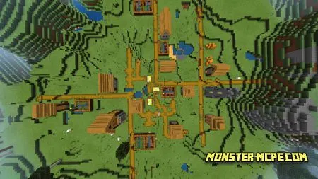 Village