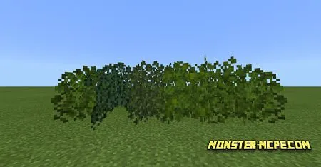 Bushy Leaves (1)