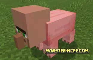 Pigs