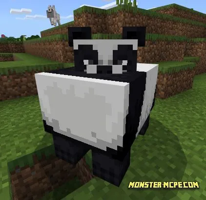 Pandas