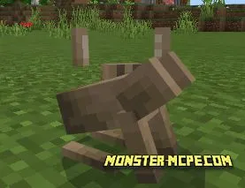 Rabbits