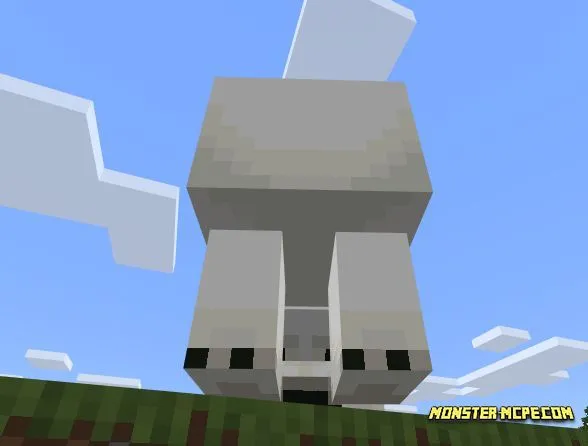 Polar Bears