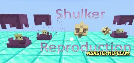 Shulker Reproduction Add-on 1.16+
