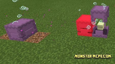 Shulker Reproduction (1)
