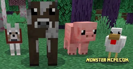 Animals