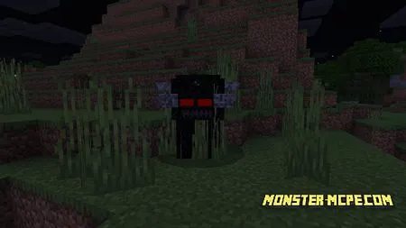 The Forgotten (1)
