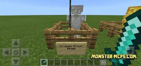 Iron