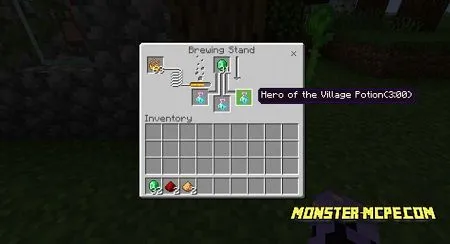 Hero of the Village Potion (1)