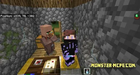 Hero of the Village Potion (4)