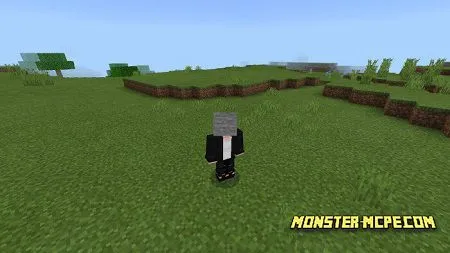Stone