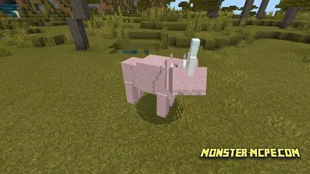 Rhinos (2)