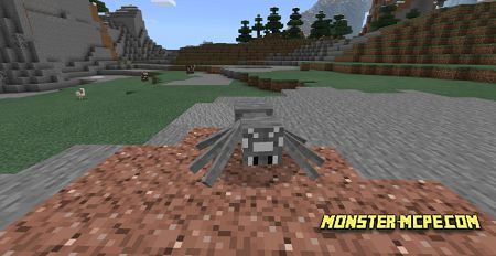 Spider