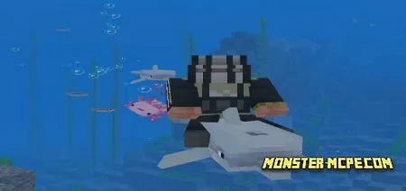 Rideable Aquatic Mobs Add-on 1.17+