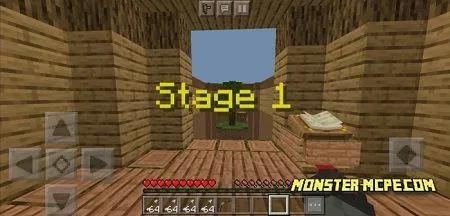 First level