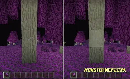 trimmed logs of the end
