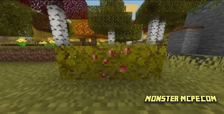 Dexten's Autumn Add-on 1.17+