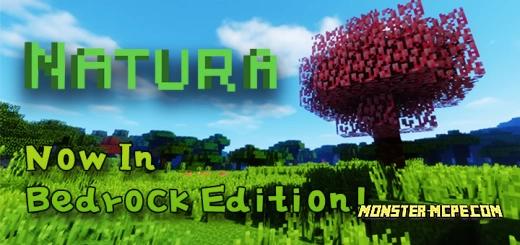 Natura Add-on /+/ | Minecraft PE Addons