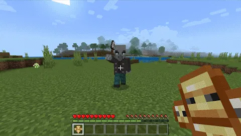 Raiyon's More Totems Add-on 1.18+