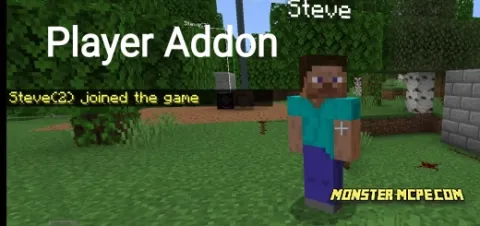 IDs Player Add-on 1.18+/1.17+
