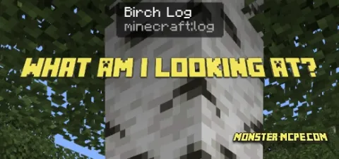 What Am I Looking At? Add-on 1.18