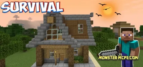 Best Survival World Map