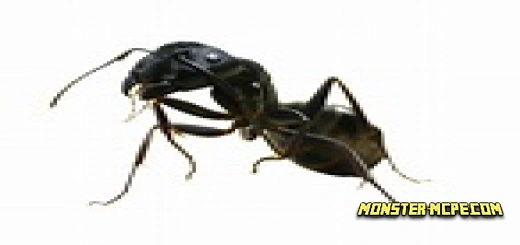 Ants Add-on 1.19+
