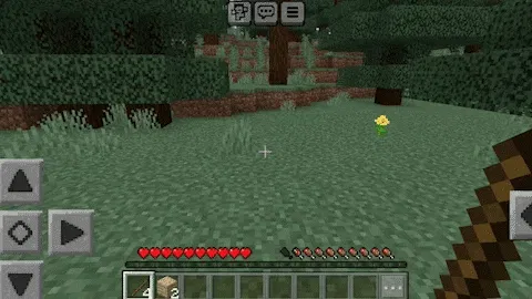 More Camera Perspectives Add-on 1.21+