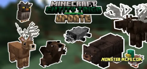 Entity Taiga Update Add-on 1.20+