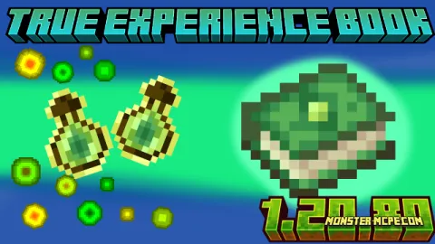 True Experience Book Add-on 1.21+