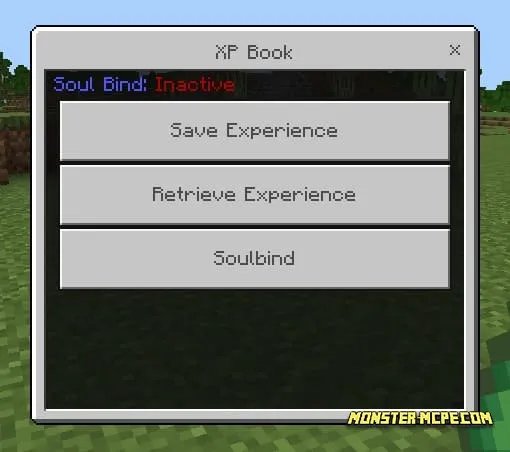True Experience Book Add-on 1.21+