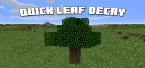 Quick Leaf Decay Add-on 1.20+