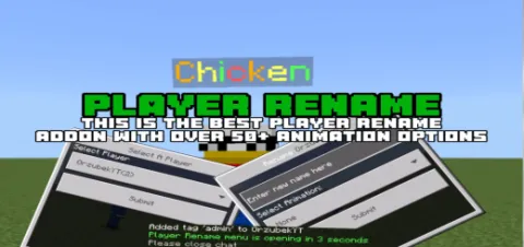 Player Rename Add-on 1.20+