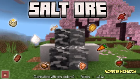 Salt Ore and Food Add-on 1.21+/1.20+