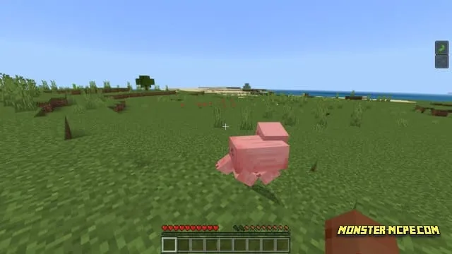 Minecraft But Every Hit You Get A Random Effect Add-on 1.21+