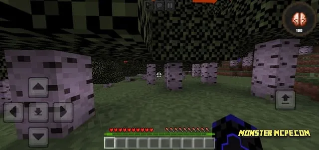 Sanity Add-on 1.21+
