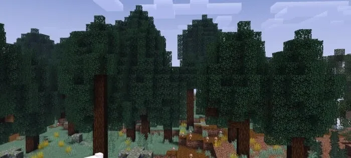 Biomes O' Discovery Add-on 26.30+/26.11+/26.10+/26.0+/1.21+