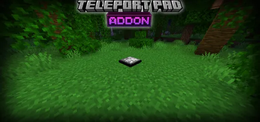 Teleport Pads Add-on