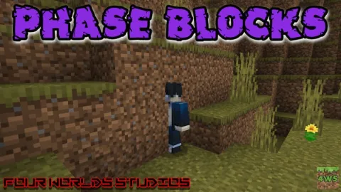 Phase Blocks FWS Add-on 1.21+