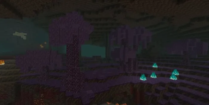 NETHERMORE BETA Add-on 1.21+