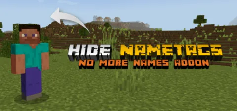 No More Names Add-on 1.21+/1.20+