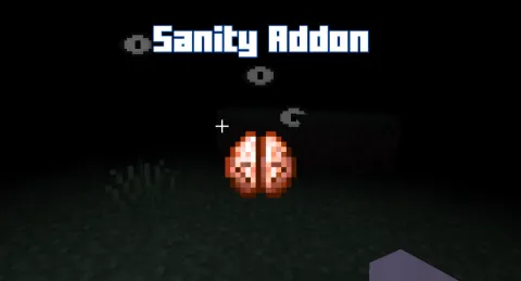 Sanity Add-on 1.21+